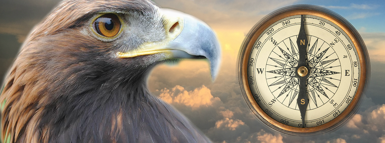 Soul Compass Path 2019 « Eagle Therapies