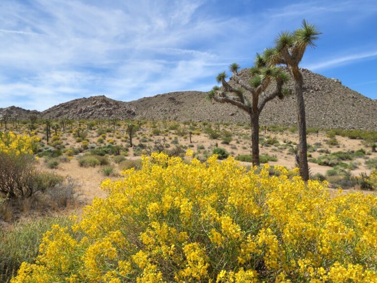 Commercial and Residential Properties EagleView Lots & Land