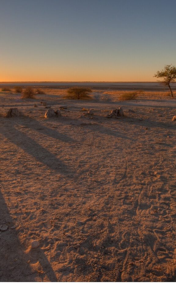 Property for Sale in California, USA EagleView Lots & Land