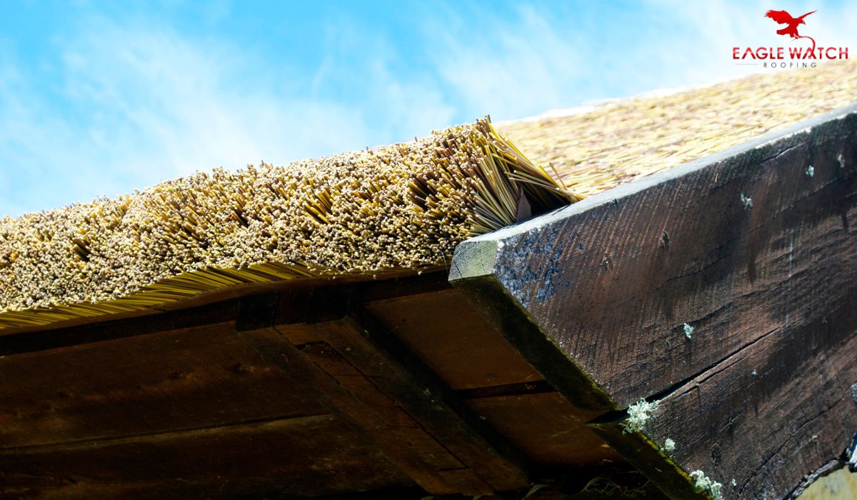 Why is the Drip Edge Code in Important for Your Home? Eagle