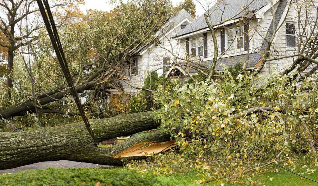 Storm Damage Cleanup & Restoration l 24/7 Response l Atlanta GA
