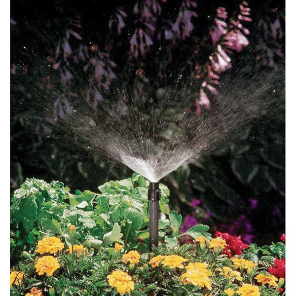 Buy Orbit 54010D Shrub Sprinkler Head, 1/2 in Connection, FNPT, Plastic