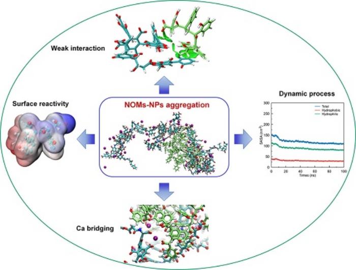 Molecular insights The dynamic dance of nano EurekAlert!