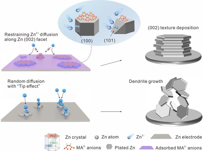 Novel strategy stabilizes zincion batteries EurekAlert!