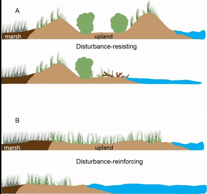 Barrier Islands [IMAGE] EurekAlert! Science News Releases