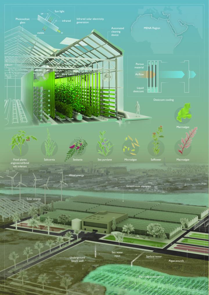 Desert greenhouses offer growth opportunities Science Codex