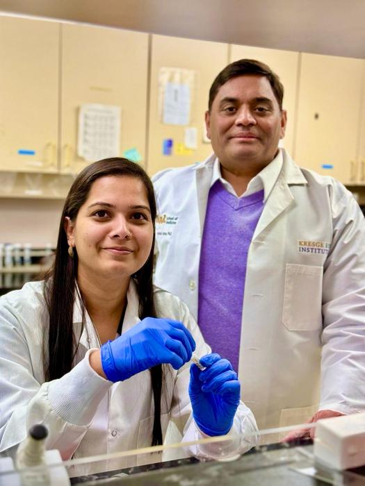 Drs. Sneha Singh and Dr. Ashok [IMAGE] EurekAlert! Science News Releases