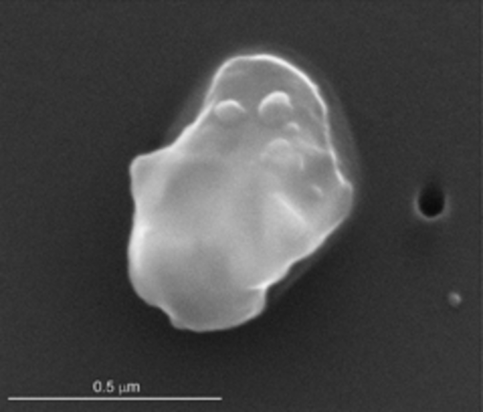 Dust Particle [IMAGE] EurekAlert! Science News Releases