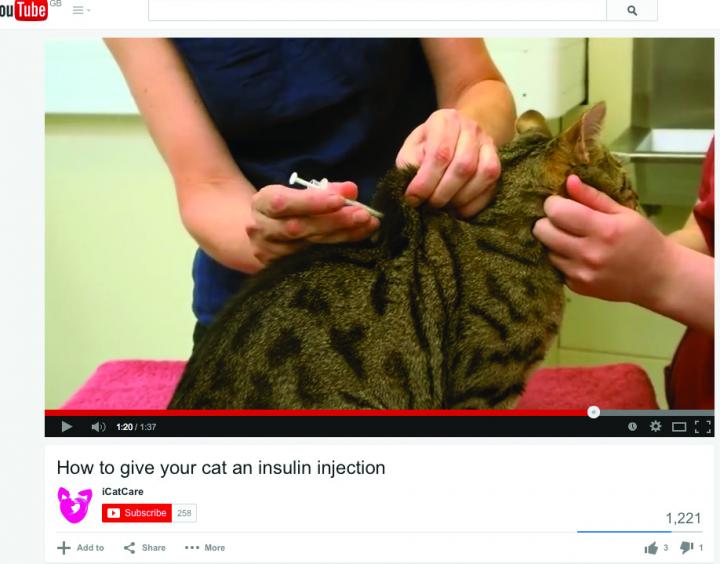 How to Give Your Cat Insulin [IMAGE] EurekAlert! Science News Releases