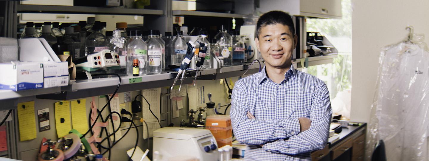 Rugang Zhang, Ph.D., The Wista [IMAGE] EurekAlert! Science News Releases