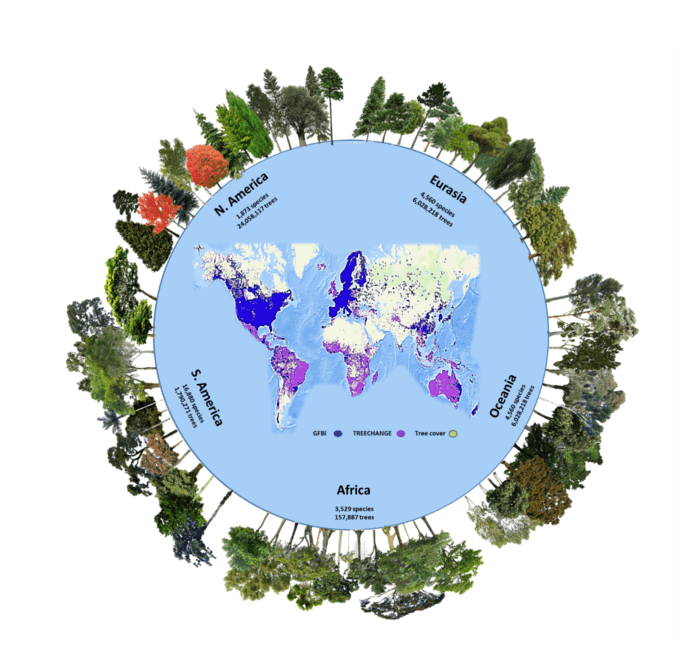 9,000 tree species yet to be discovered on Ea EurekAlert!