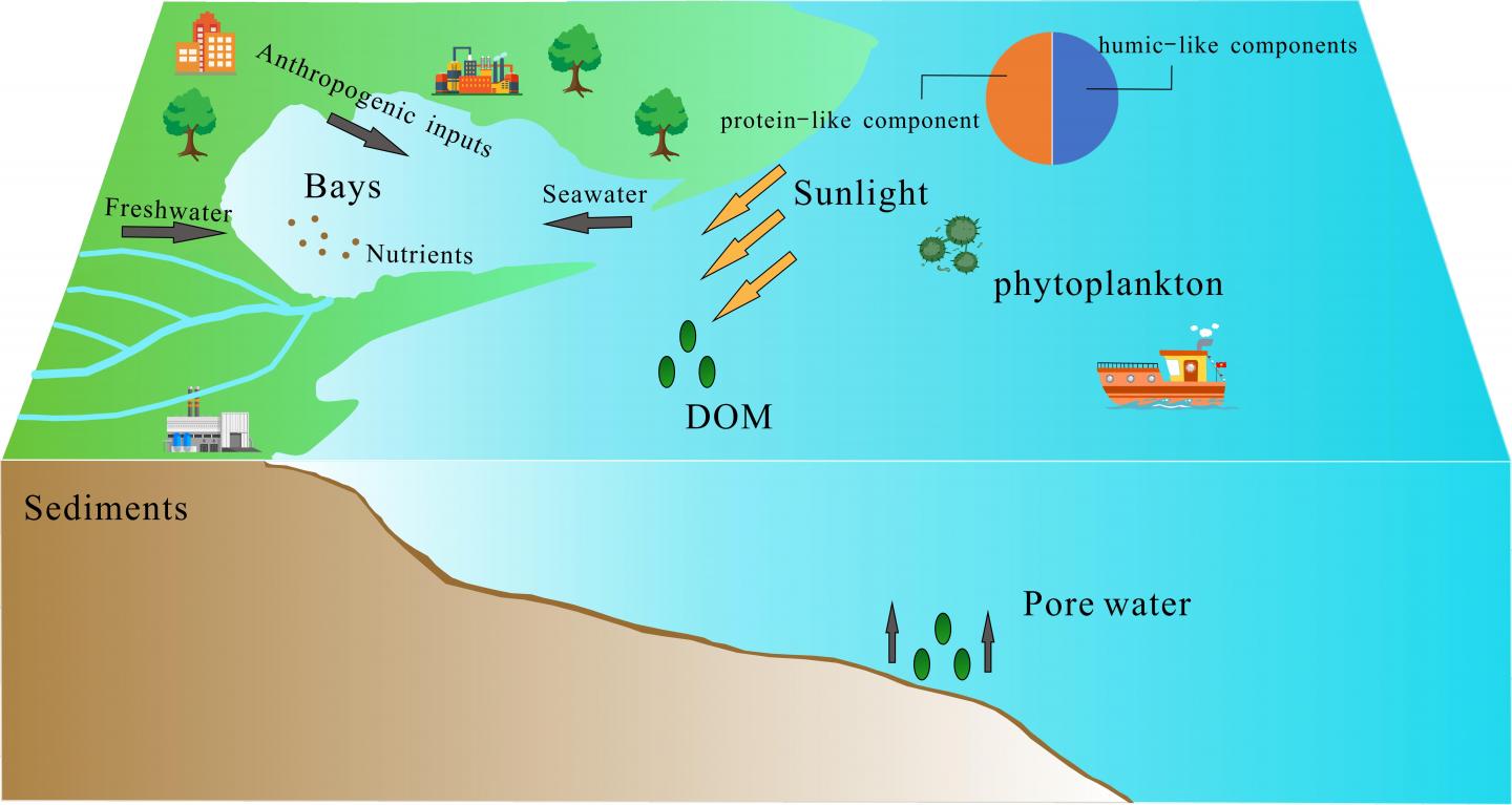 The molecular characteristics of the dissolved organic matter pool in a
