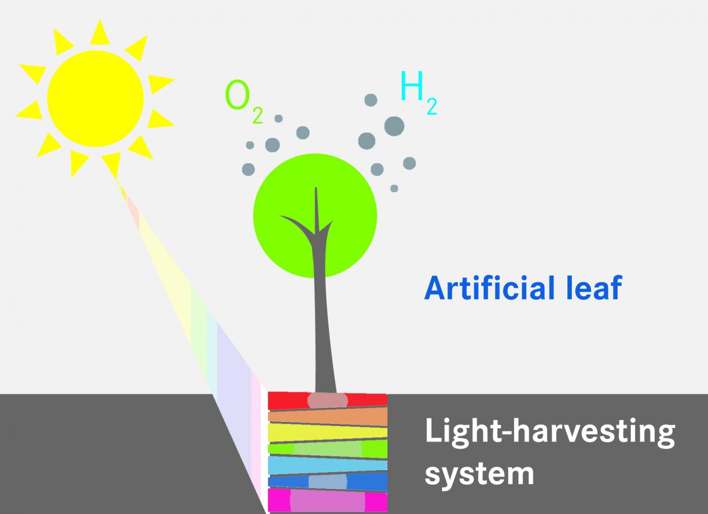 The path to artificial photosynthesis EurekAlert!