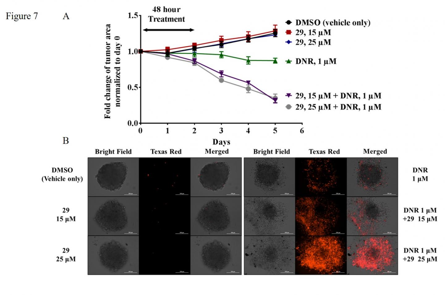 Advanced Cancer Cells Die afte [IMAGE] EurekAlert! Science News Releases