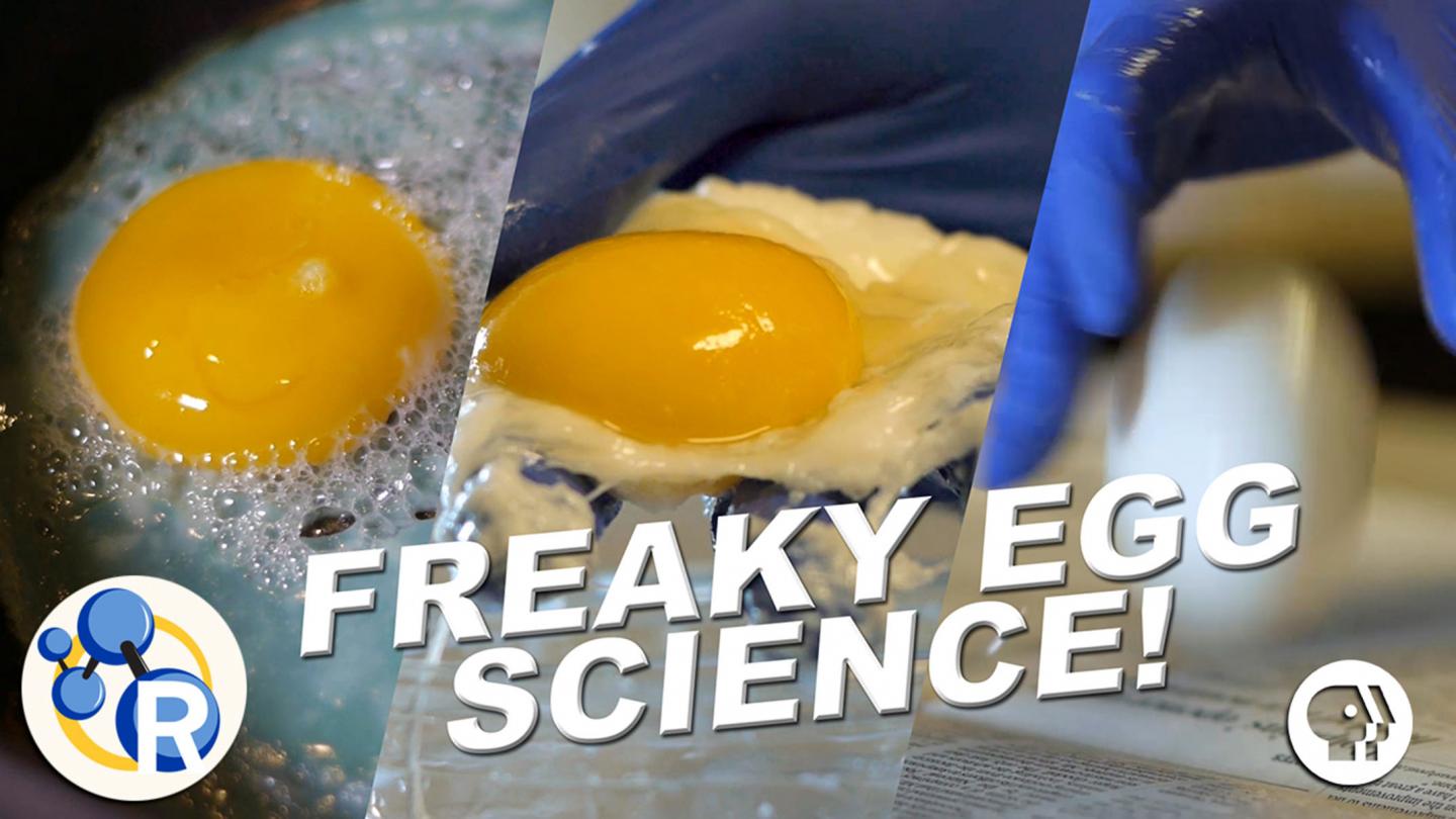 How to 'cook' an egg without heat and othe EurekAlert!