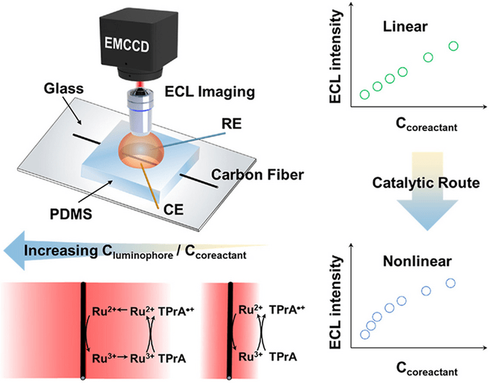 Imaging electrochemiluminescence layer to dis EurekAlert!