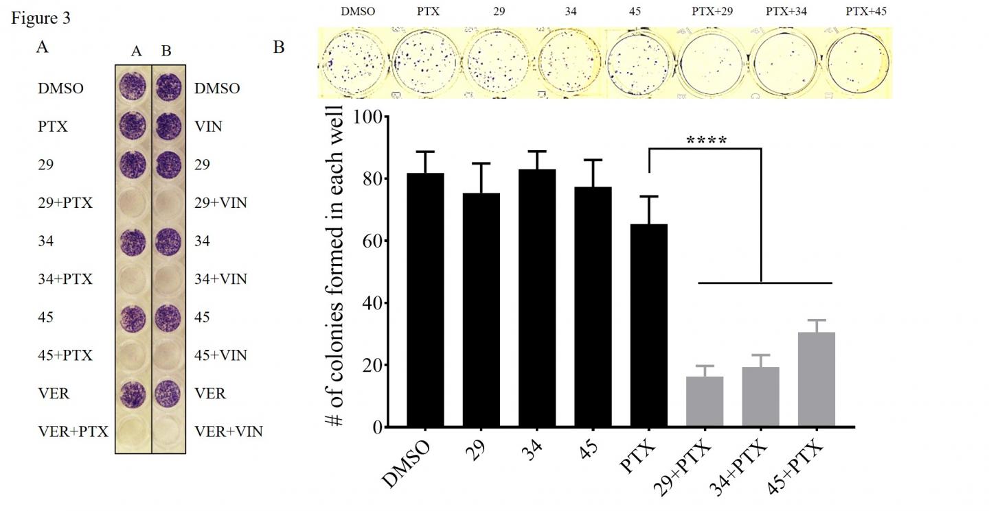 Cancer Cells Die when Treated [IMAGE] EurekAlert! Science News Releases