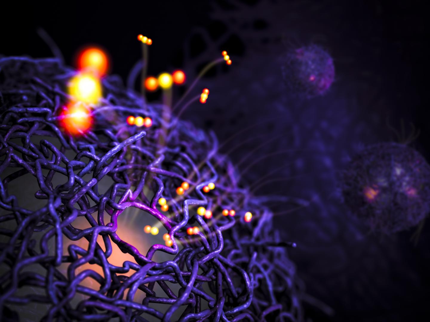 Catalyst Illustration (Wide) [IMAGE] EurekAlert! Science News Releases