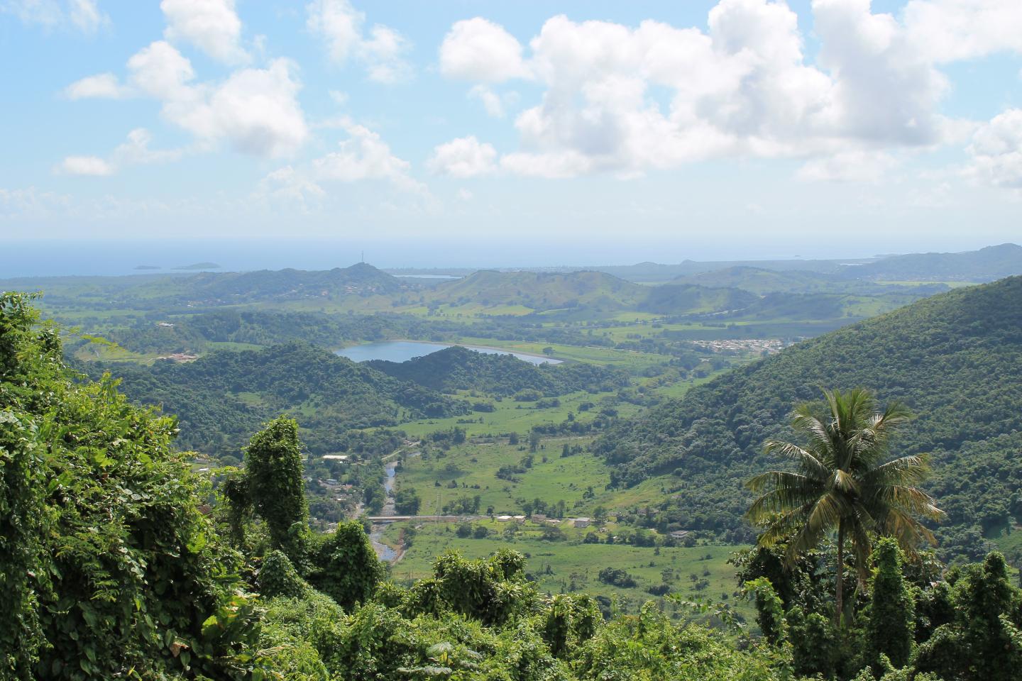 Landscape ecology's role in policymaking EurekAlert!