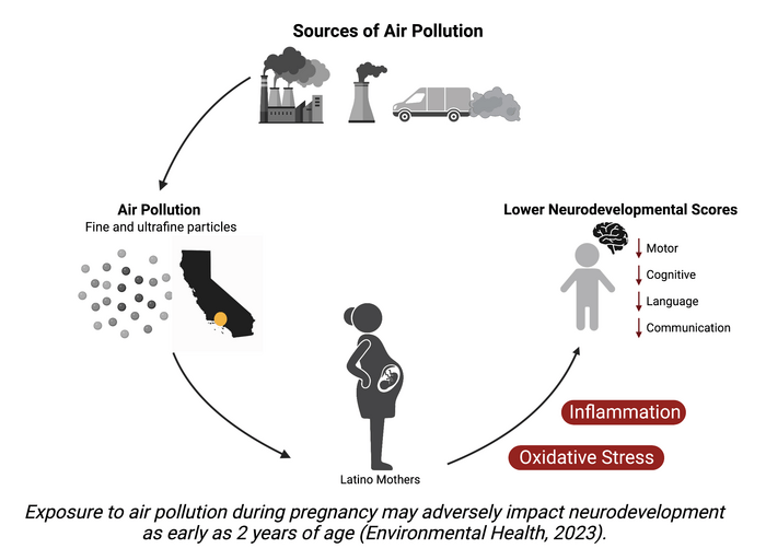 Prenatal pollution exposure linked to lower c EurekAlert!
