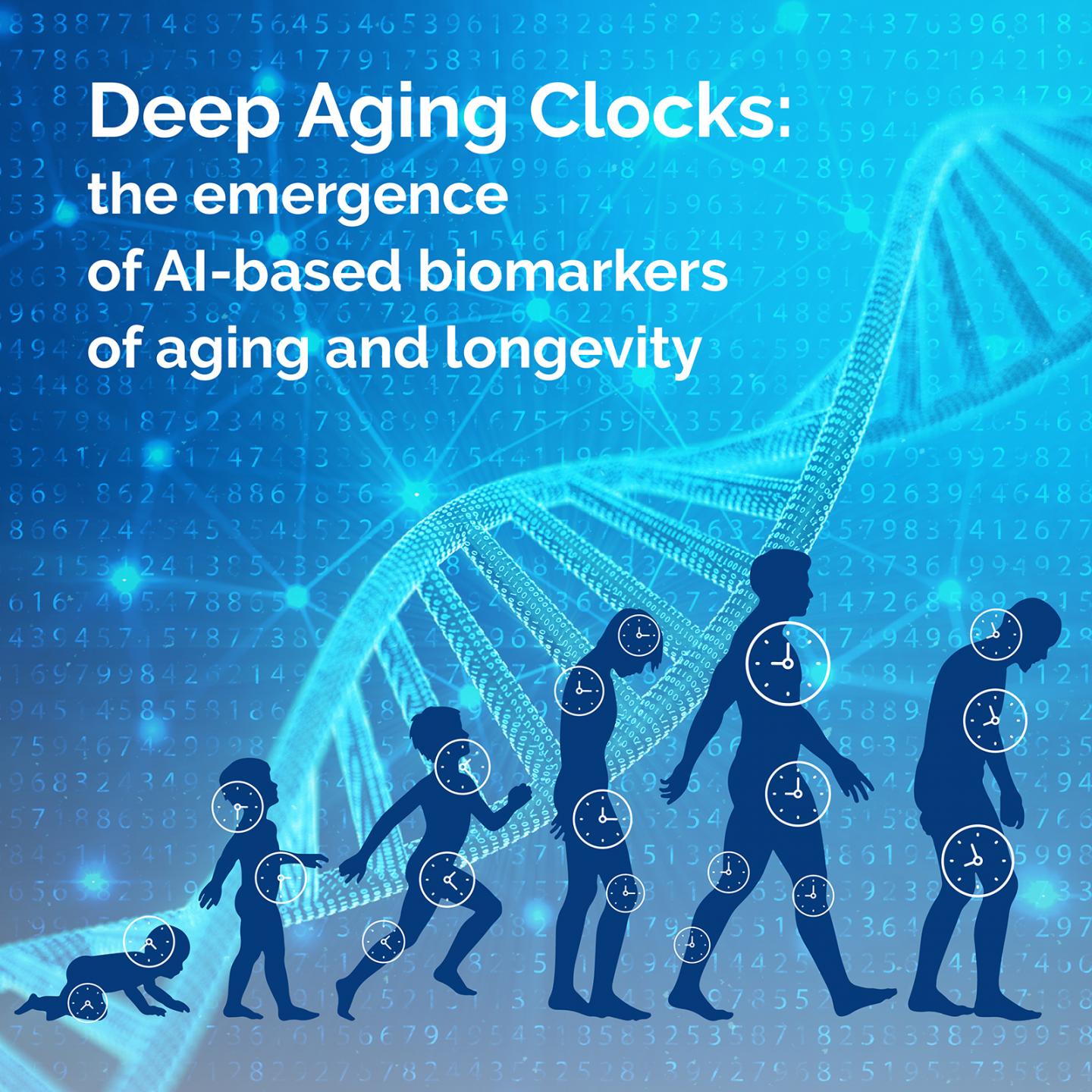 Deep Aging Clocks The emergence of AIbased EurekAlert!