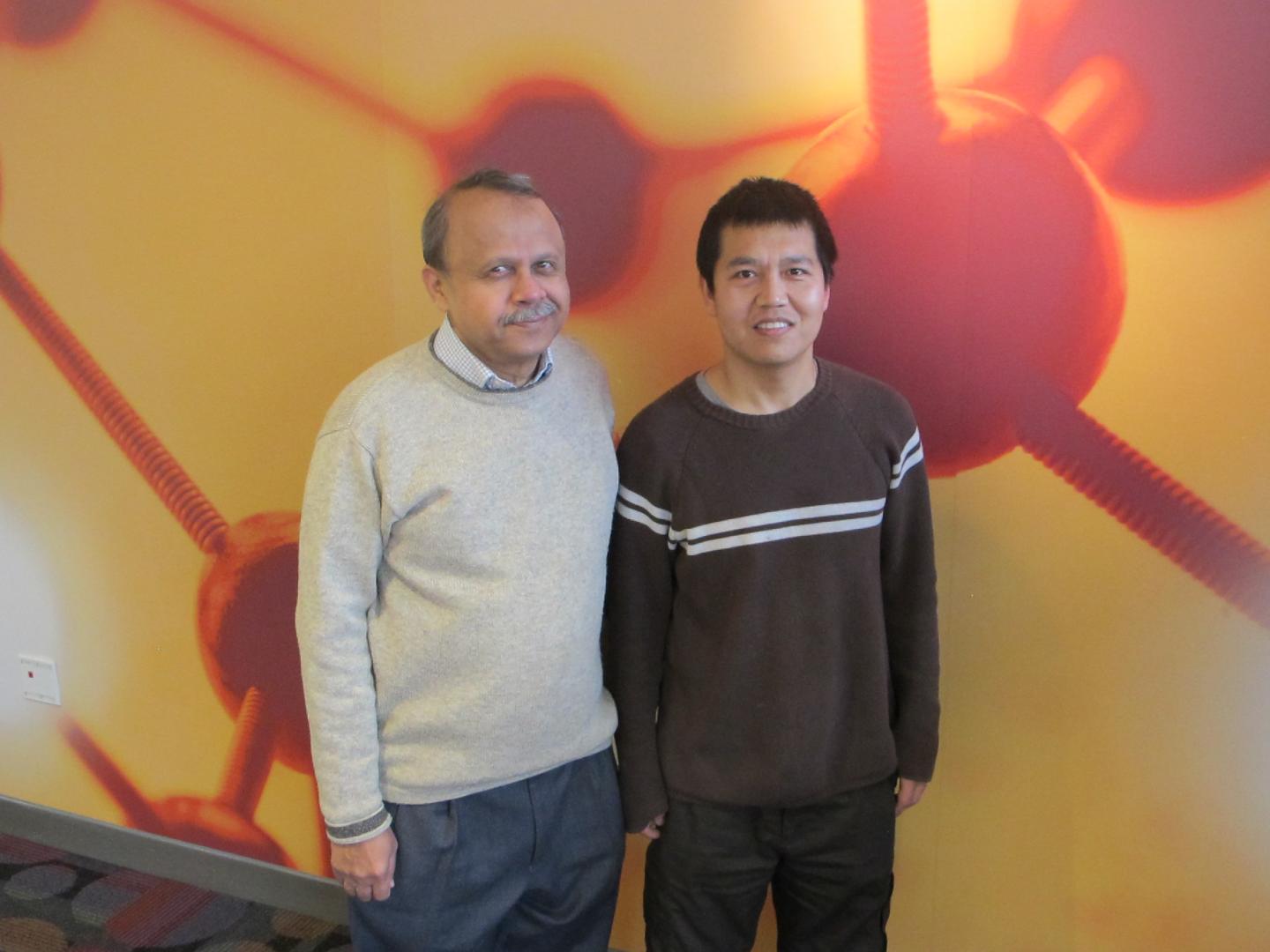 Drs. Ashok Bhagwat and Weilong [IMAGE] EurekAlert! Science News Releases
