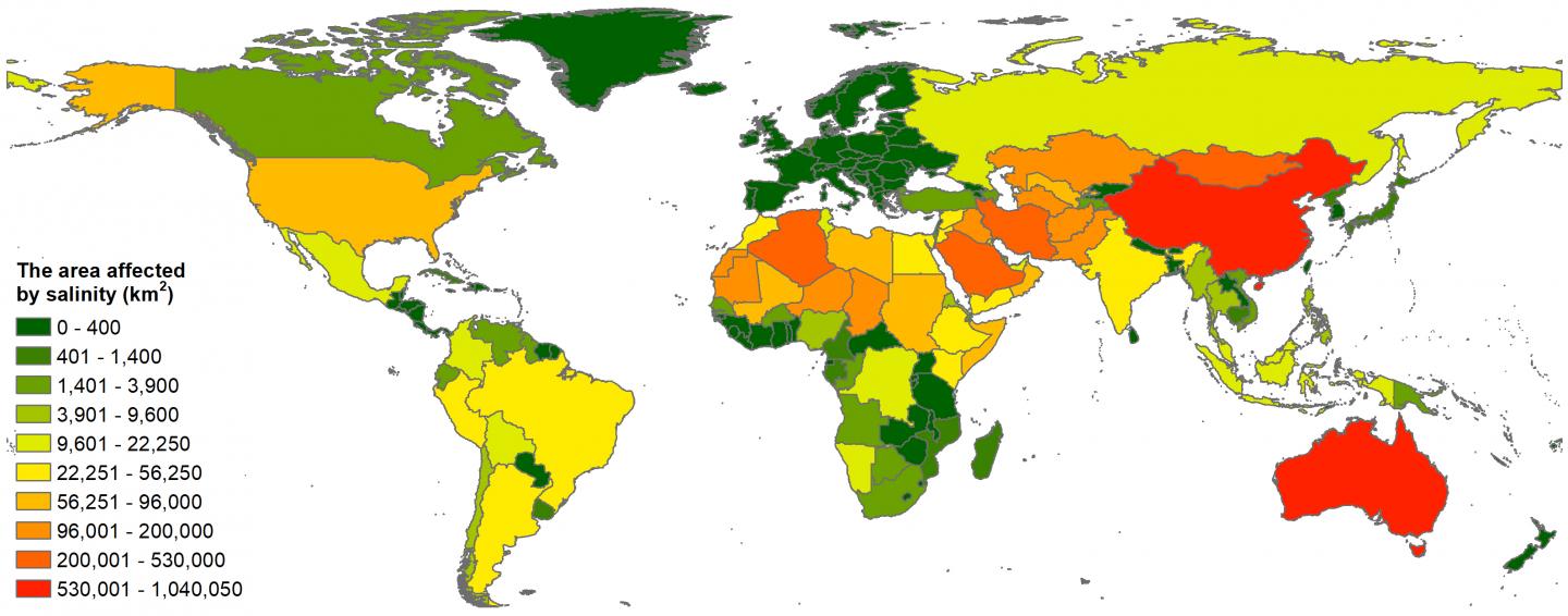 The total area affected by soi [IMAGE] EurekAlert! Science News Releases