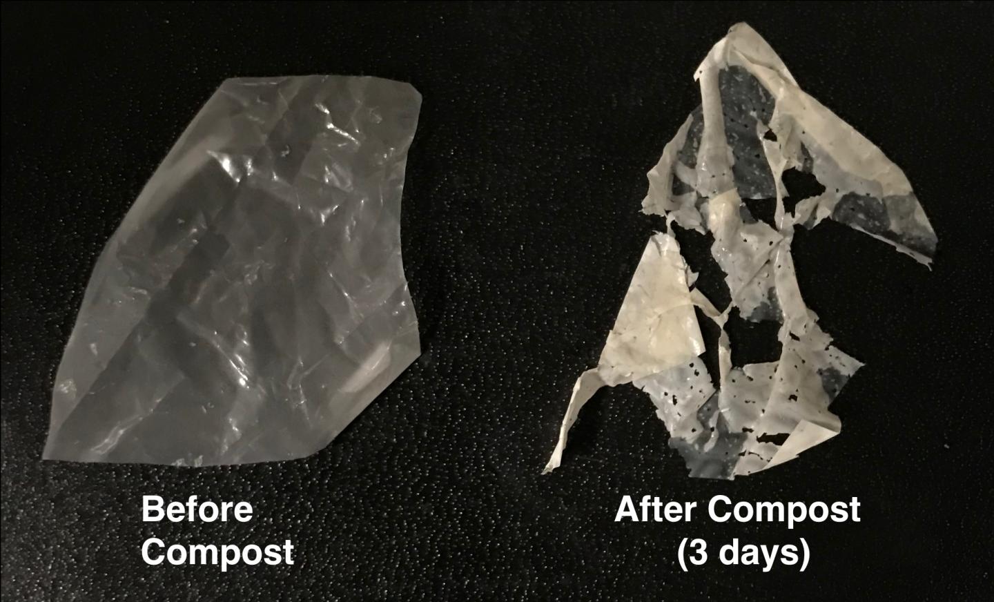 To design truly compostable plastic, scientists take cues from nature