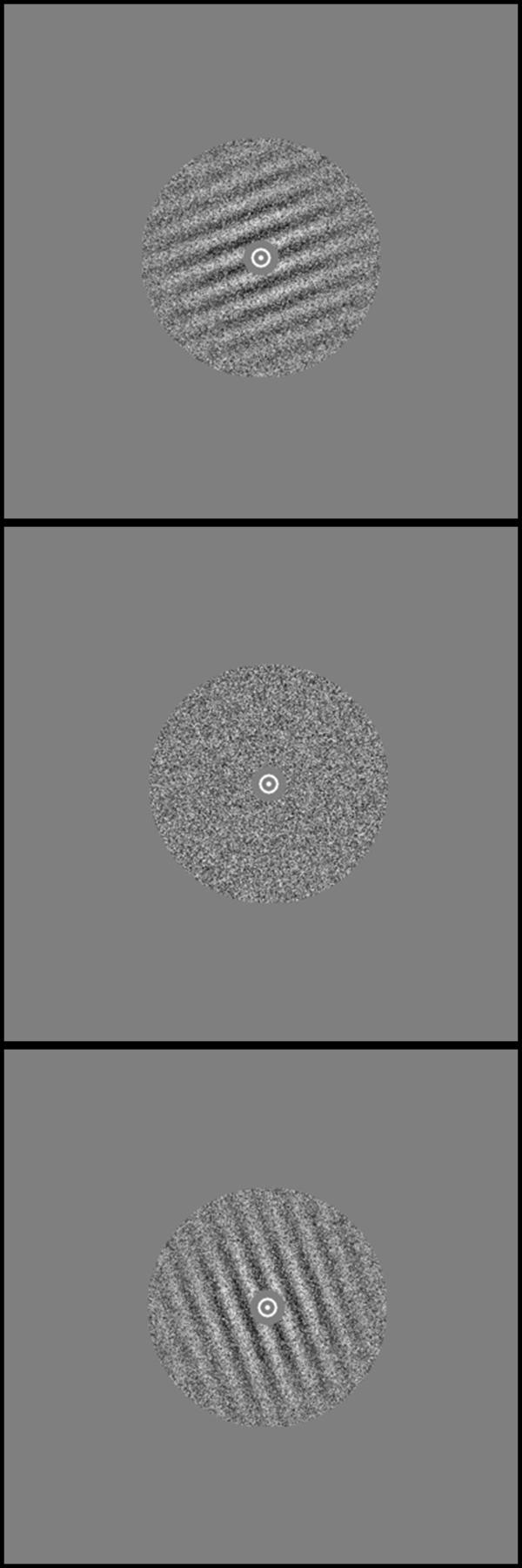 Gabor Patches [IMAGE] EurekAlert! Science News Releases