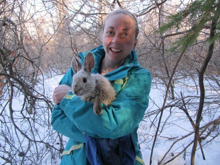 Pennsylvania snowshoe hares differ from those EurekAlert!