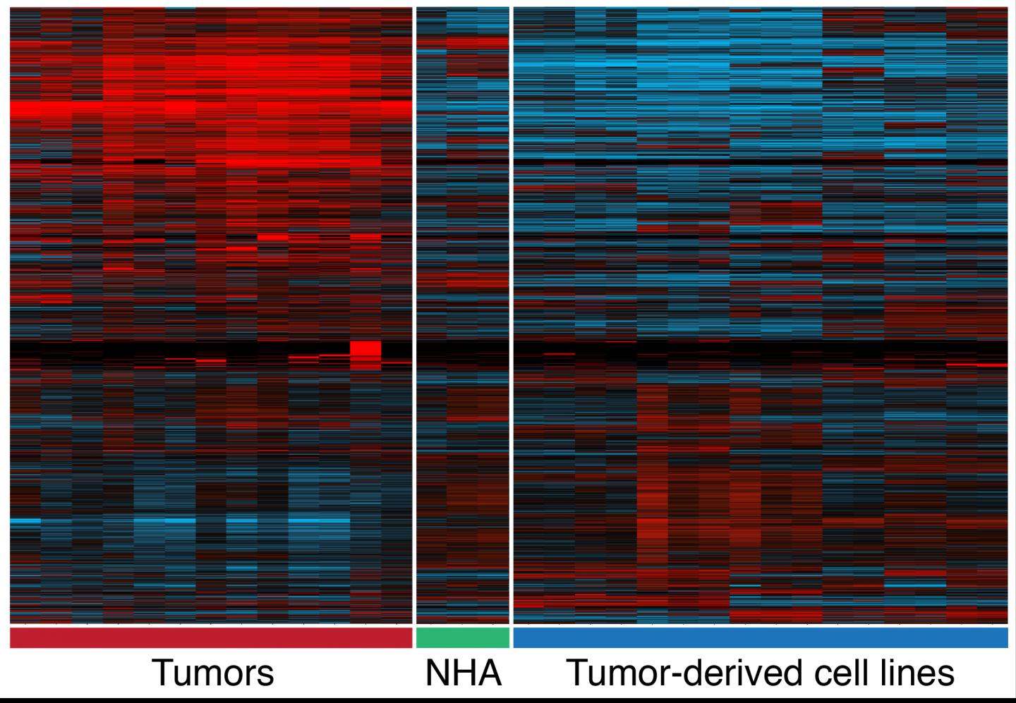 Heat Map Showing Differences i [IMAGE] EurekAlert! Science News Releases