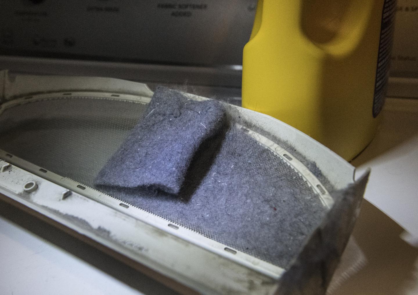 Dryer Lint Filter [IMAGE] EurekAlert! Science News Releases