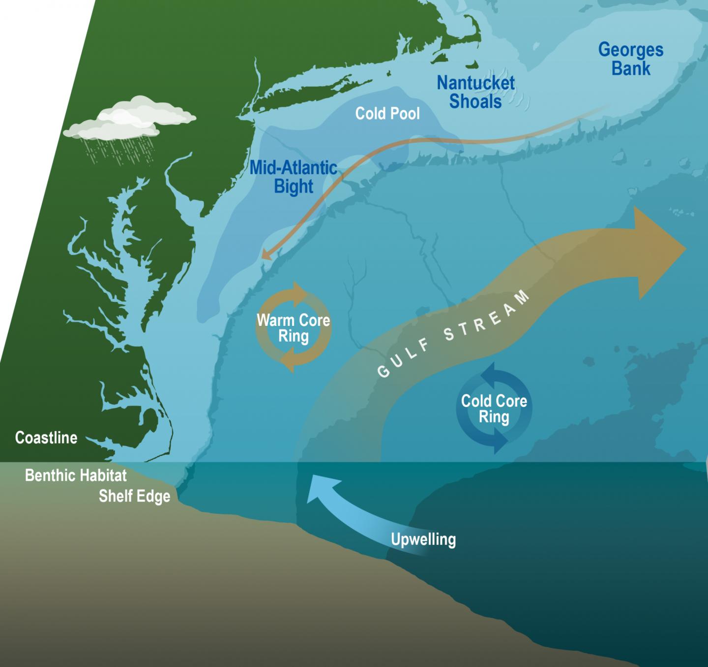 MidAtlantic Bight Shelfbreak [IMAGE] EurekAlert! Science News Releases