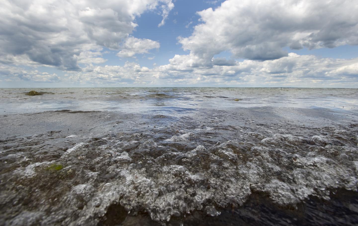 Buzzards Bay, Mass. [IMAGE] EurekAlert! Science News Releases