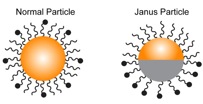 Janus particle illustration [IMAGE] | EurekAlert! Science News Releases