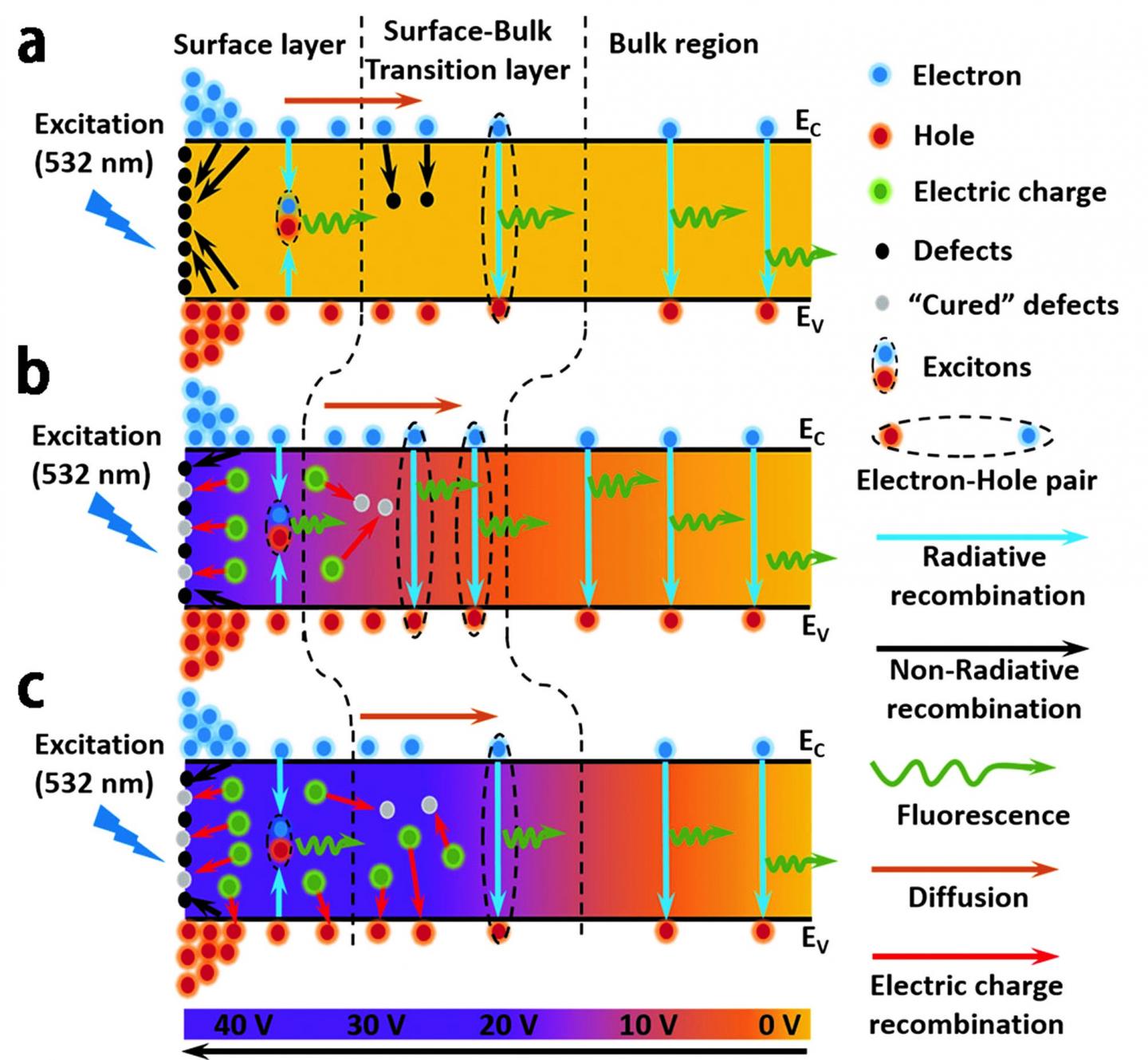 Schematic Diagram [IMAGE] | EurekAlert! Science News Releases