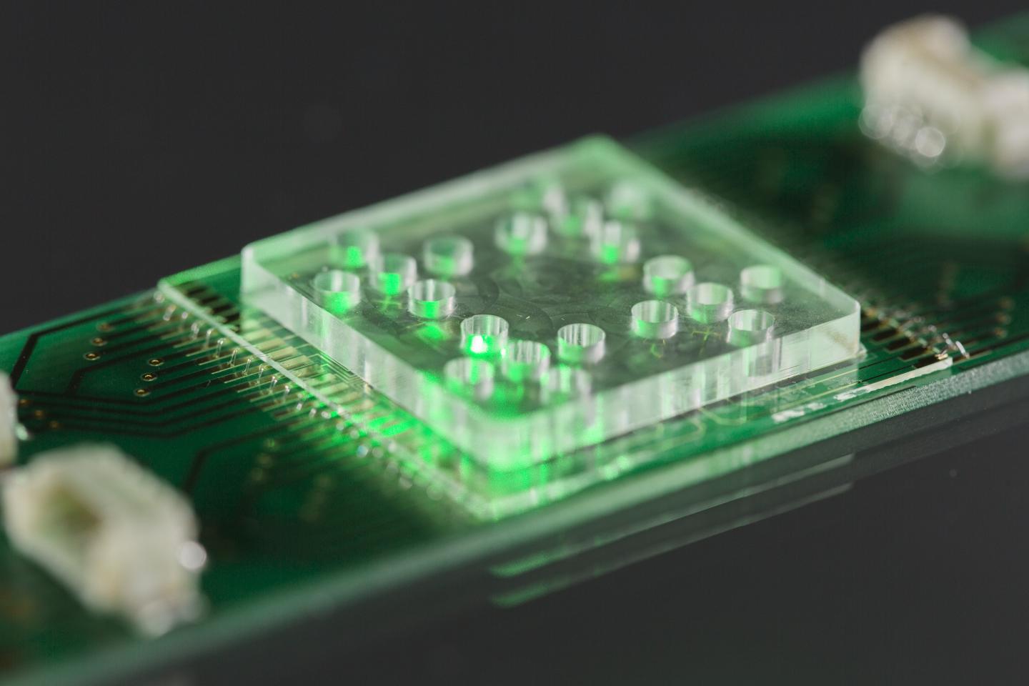 LabonaChip [IMAGE] EurekAlert! Science News Releases