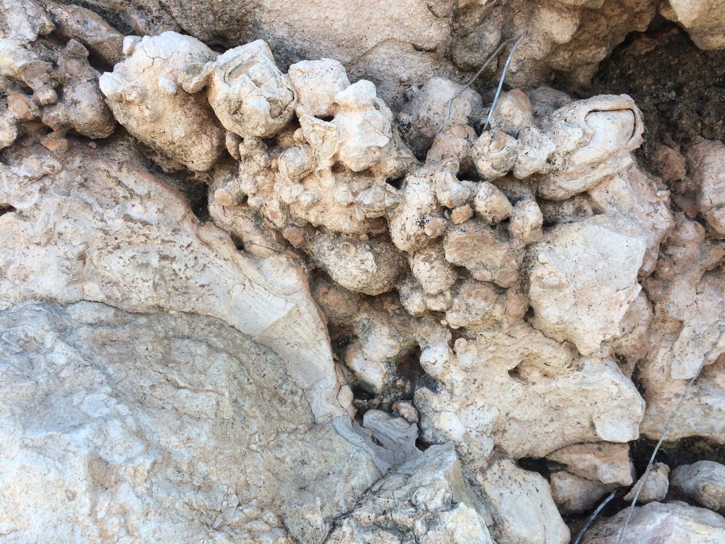 Alkaline soil, sensible sensor EurekAlert!