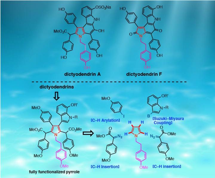 Selective functionalization synthesizes chemo EurekAlert!
