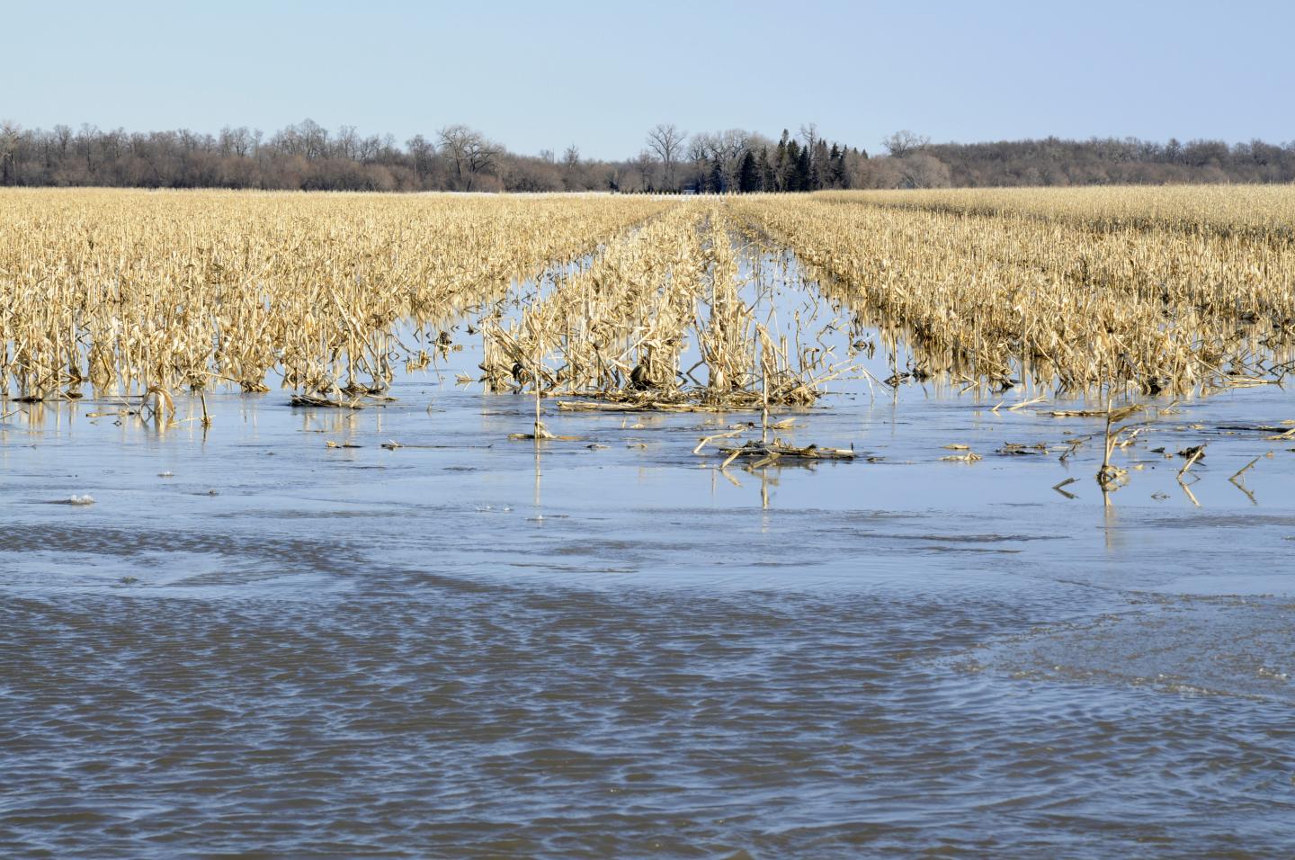 Flooded Farmland [IMAGE] EurekAlert! Science News Releases
