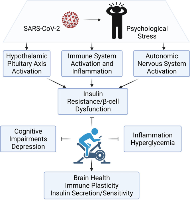 COVID19 and dysregulation [IMAGE] EurekAlert! Science News Releases