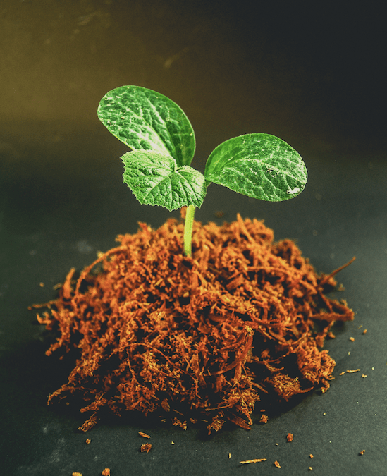 The Fastest Growing Hedge Funds You’ve Ever Seen Early Bird Trades