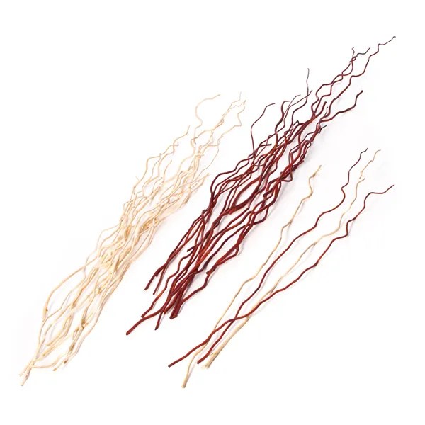 Set of Long Wavy Sticks Early Excellence