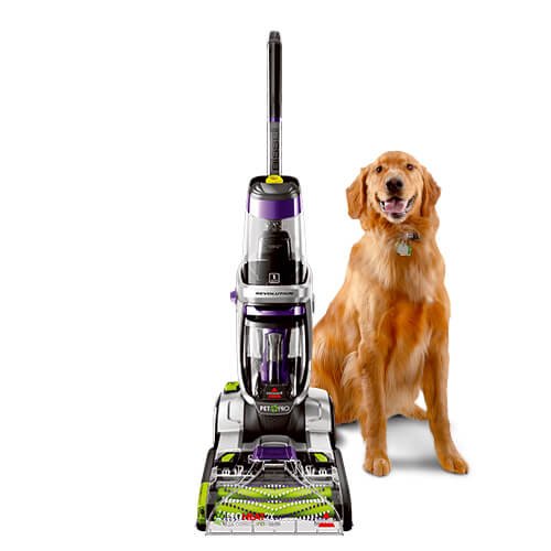 Best Carpet Steam Cleaners Reviews In 2024 EarlyExperts