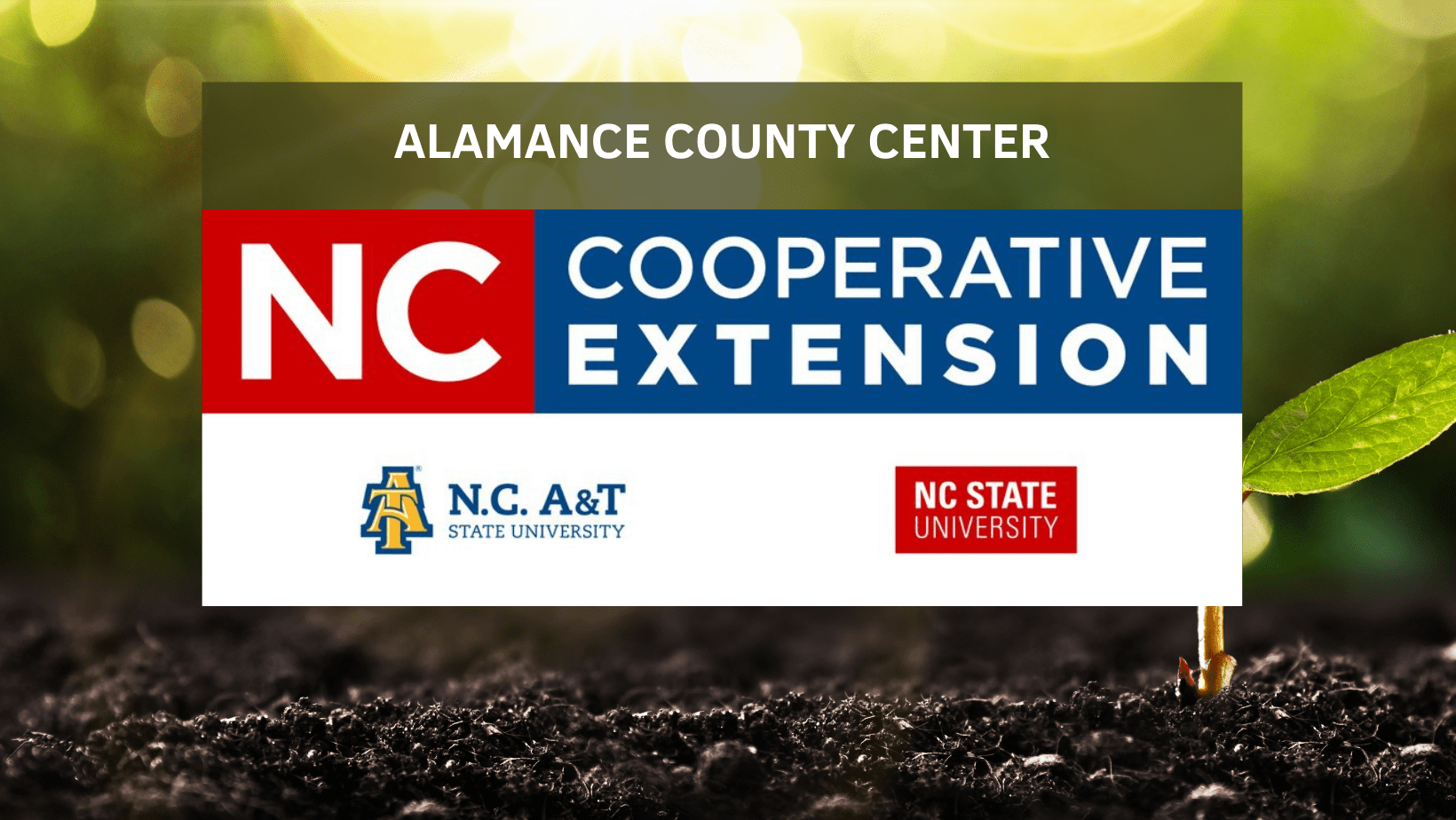 Alamance County Center EarlyGroove