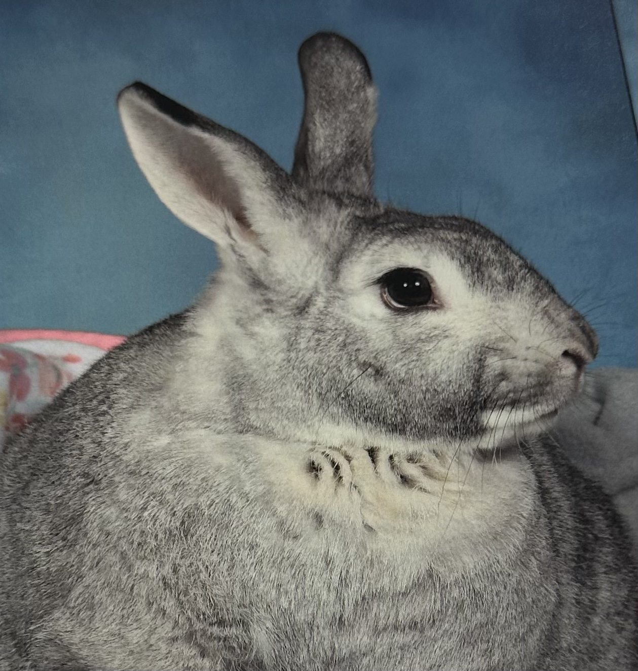 Our Staff Early Learning Center of New Milford