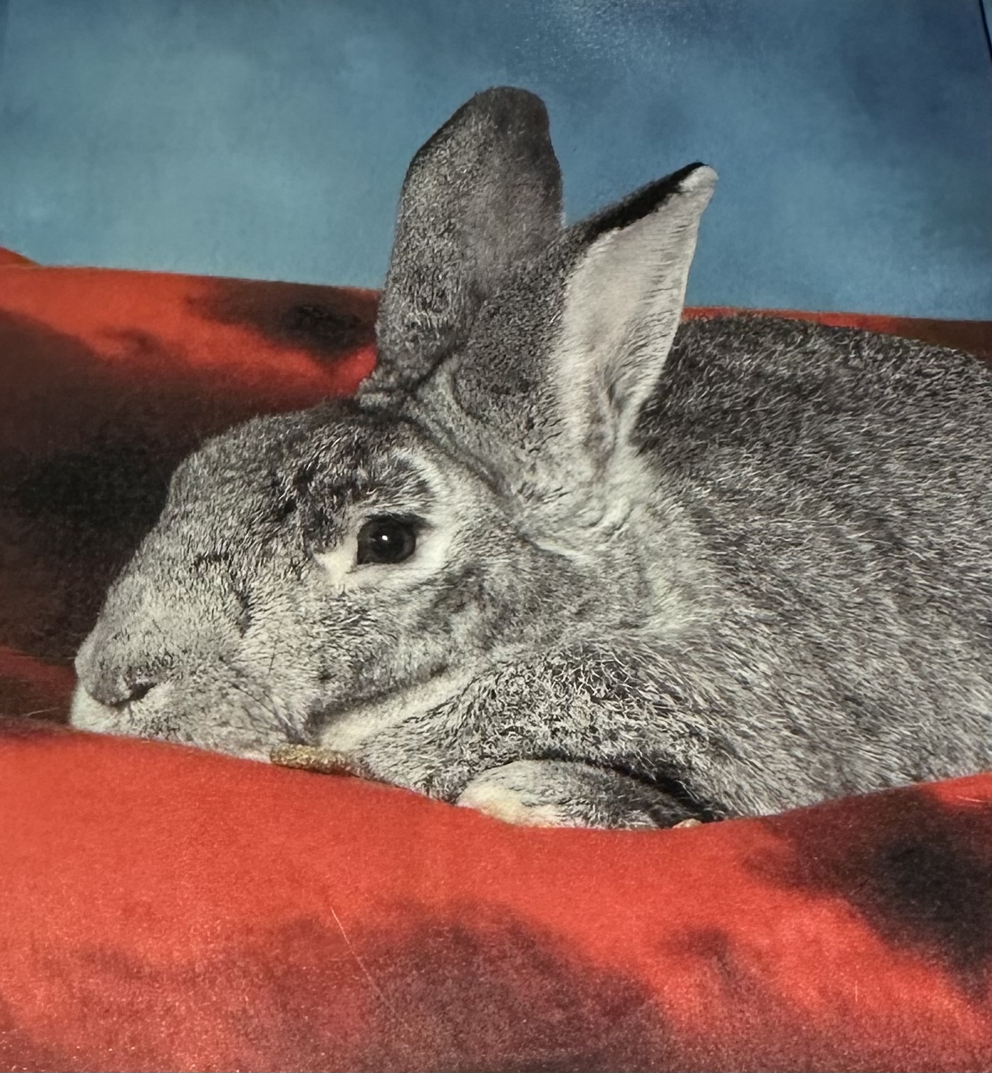 Our Staff Early Learning Center of New Milford