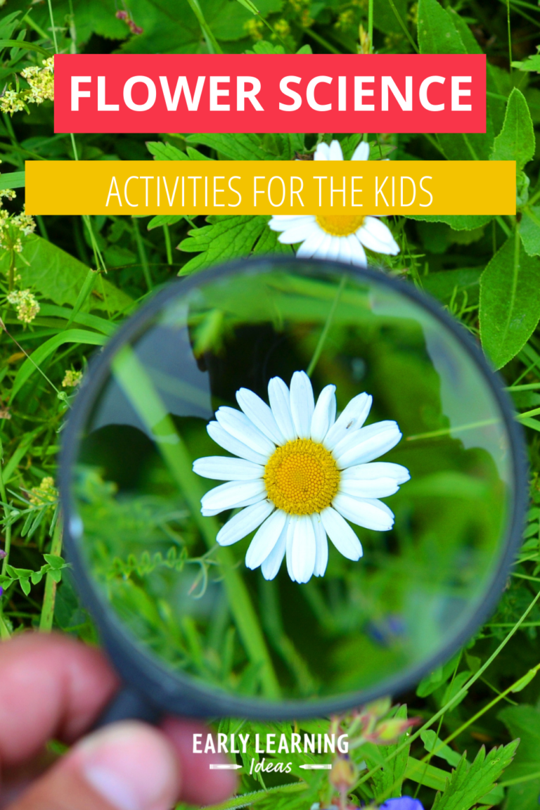 Plants Theme for Preschoolers and Flower Theme for Preschool Early