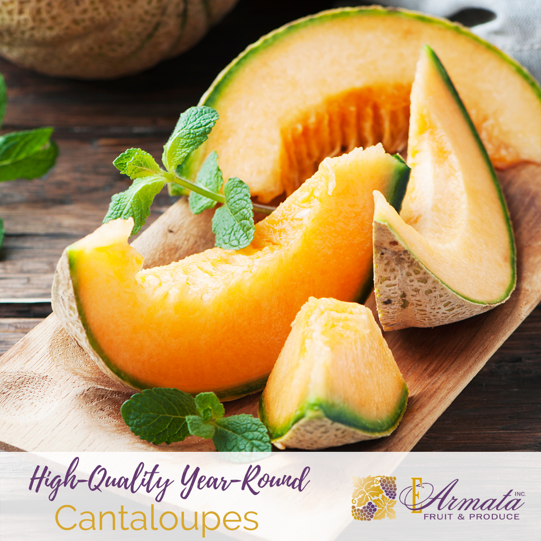 Is Cantaloupe Healthier To Eat Than Watermelon? E. Armata Inc.