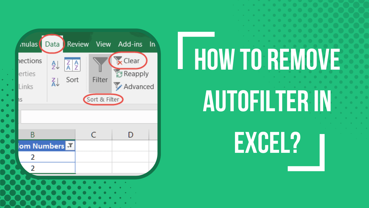 How to Remove Autofilter in Excel? Earn & Excel